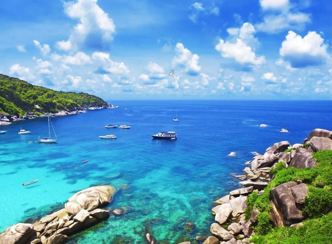 沪江开心词场